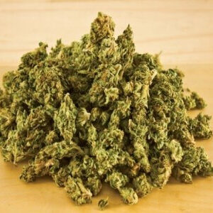 Comprar medicamentos Compra El sueño de Snoop online