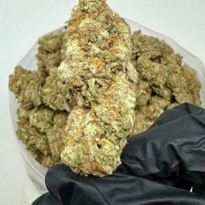 Comprar medicamentos Compra Super Lemon Haze en línea